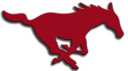 logo Salina Central